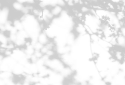 Astrée Blanc Gris - hover