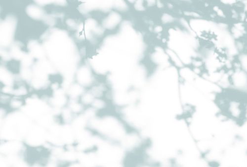 Astrée Blanc et Bleu Clair  - hover