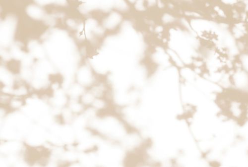 Astrée Blanc Crème - hover