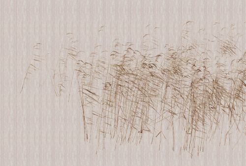 Déborah Beige - hover