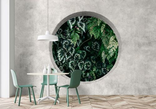 Novelle Gris Vert - hover