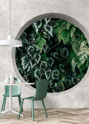 Novelle Gris Vert