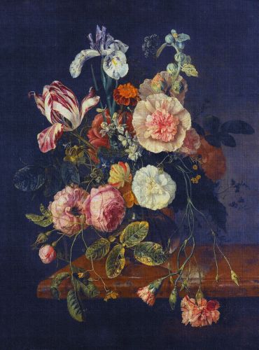 Jehanne Violet Coloré - hover