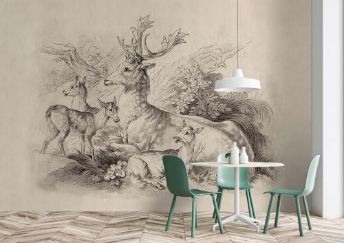 Arvède Beige Gris - hover
