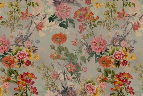 Perceval Coloré - hover