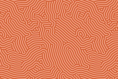 Abélia Orange Rouge - hover