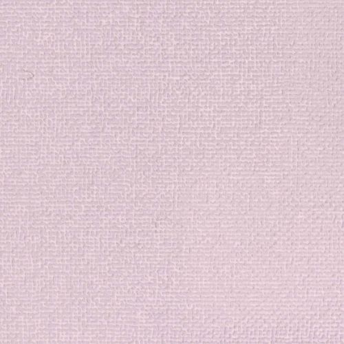 Lovely Rose "c2006" - hover