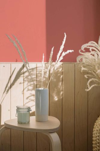 Peachy Pink "c2029" - hover