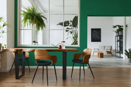 Sage Green "c5000"