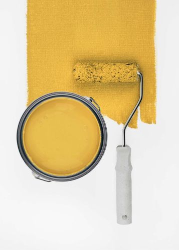 Sunny Yellow "c8003"