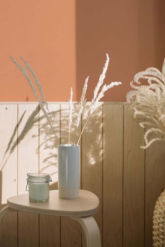 Dusty Orange "c9002" - hover