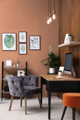 Diverse Apricot "c9013" - hover