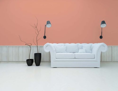 Diverse Apricot "c9014"