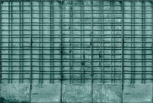 Basilique Vert Foncé  - hover