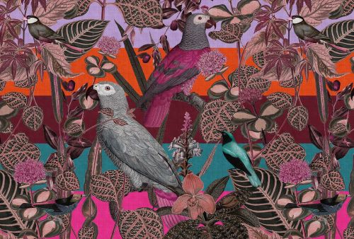 Orléans Coloré - hover