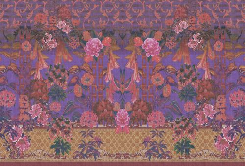 Augusta Violet Rosa  - hover