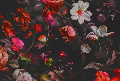 Palisse Rouge Noir  - hover