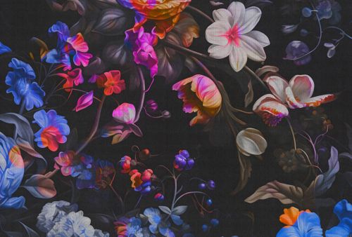 Palisse Violet Noir  - hover