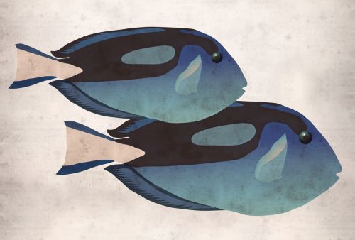 Mireval Vert Bleu  - hover