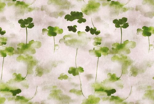 Elviora Crème Verte  - hover