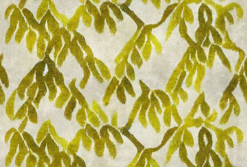 Caléline Beige Vert  - hover