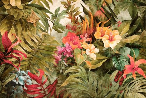 Émérisse Orange Verte  - hover