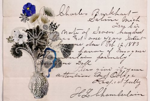 Mirélia Crème Noire - hover