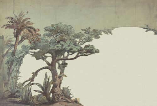 Mirliton Vert Clair  - hover