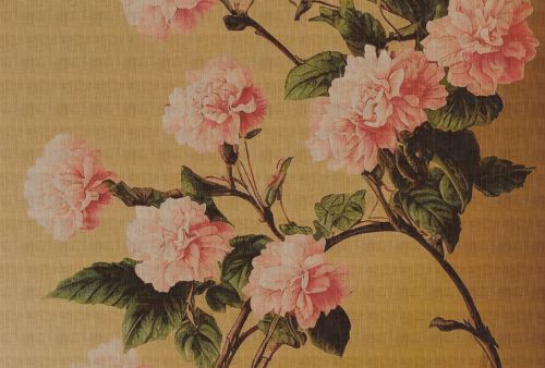 Aléeva Rose Jaune  - hover