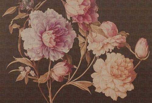 Irève Rose Brune  - hover