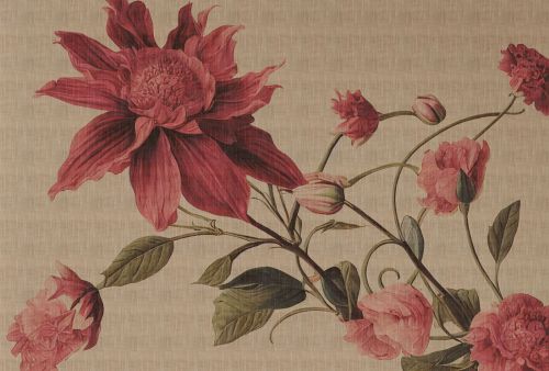 Corève Beige Rouge  - hover