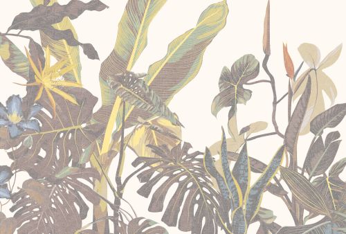 Solirée Beige Vert  - hover