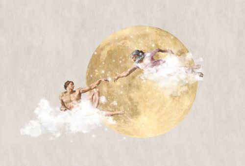 Zior Or Gris  - hover