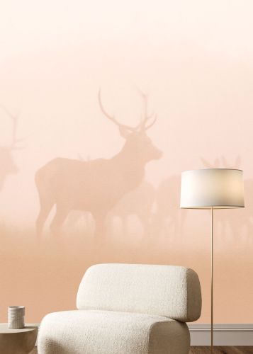 Réeva Orange Pastel 