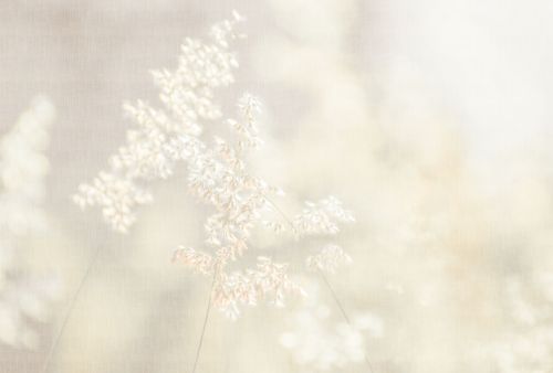 Émrys Gris Blanc  - hover