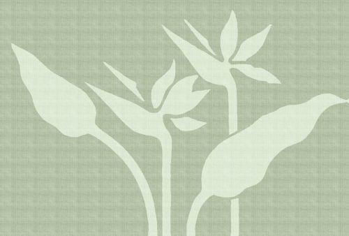 Naëvior Vert  - hover