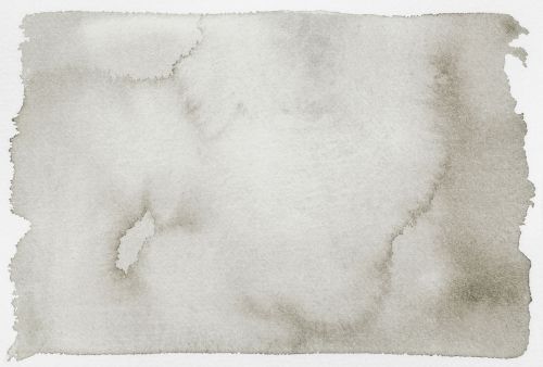 Zélan Gris  - hover