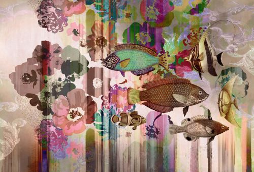 Ilvane Coloré - hover