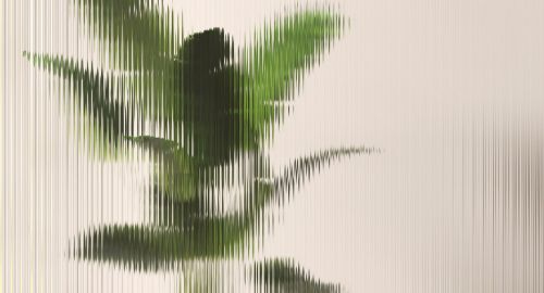 Aliréa Beige Vert  - hover