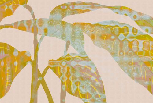 Irénis Turqouise Orange  - hover