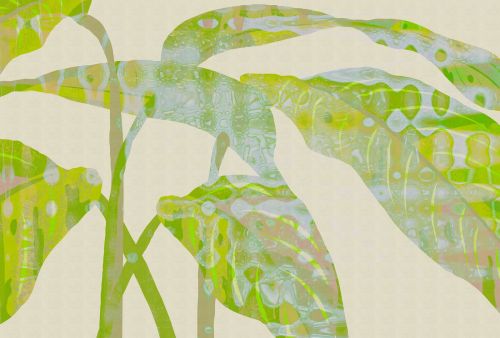 Irénis Vert Bleu  - hover