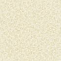 Sample Versace — Lysios Beige