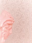 Sample Versace — Cleopatra Rose Gold