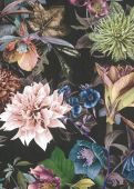 Sample Amaryllis Dark Lilac