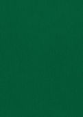 Sample Matthieu Dark Green
