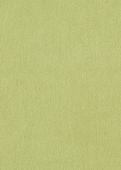 Sample Emmanuel Khaki Green 