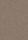 Sample Martin Earth Brown