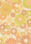 Sample Audeline Orange 
