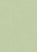 Sample Yvan Pastel Green 