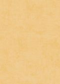 Sample Mauricette Orange 